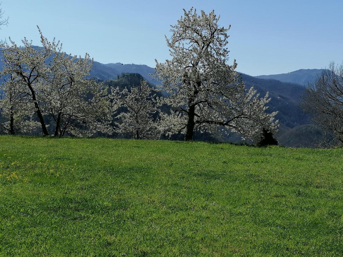 La Casa In Valli 35 Bagni di Lucca Kültér fotó