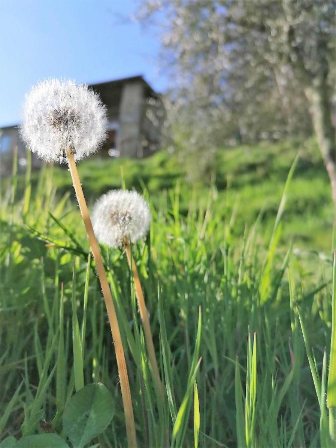 La Casa In Valli 35 Bagni di Lucca Kültér fotó