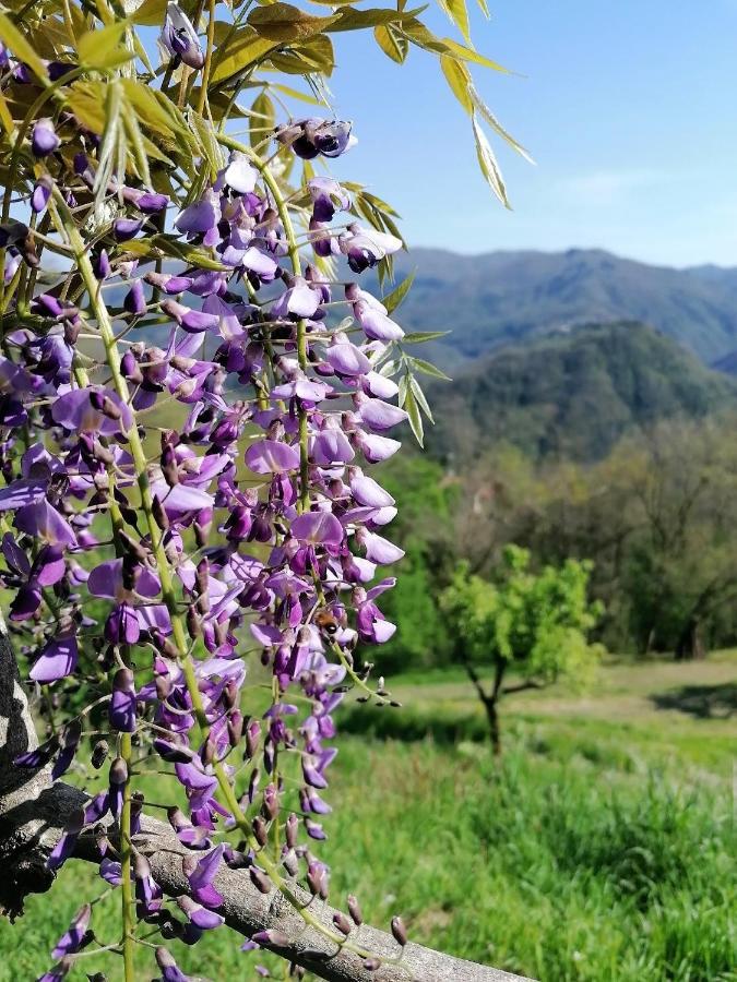 La Casa In Valli 35 Bagni di Lucca Kültér fotó